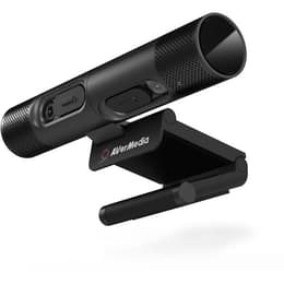 Avermedia 61PW313D00AE Webcam