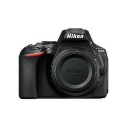 Cameras Nikon D5600