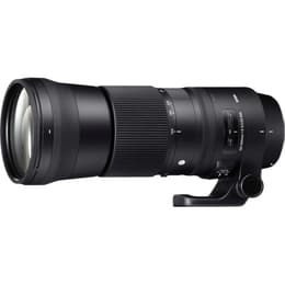Camera Lense Canon EF 150-600mm f/5-6.3