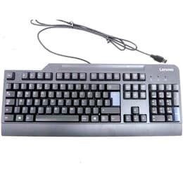 Lenovo Keyboard QWERTY English (US) KU-0225