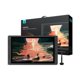 Huion Kamvas Pro 22 Graphic tablet