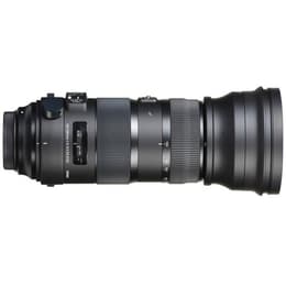 Camera Lense Sigma SIGMA 150-600mm f/5-6.3 DG DN OS 150-600mm f/5-6.3