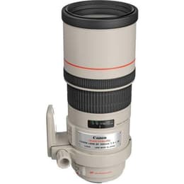 Camera Lense Canon EF 300mm f/4 300mm f/4
