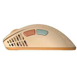 Pulsar Xlite V2 Wireless (Size 2) Medium Mouse Wireless