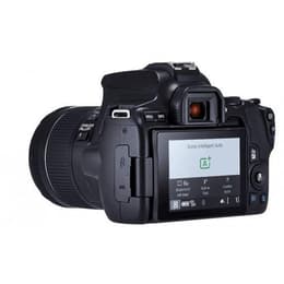 Reflex - Canon EOS 250D Black + Lens Canon EF-S 18-55mm f/4-5.6 IS STM