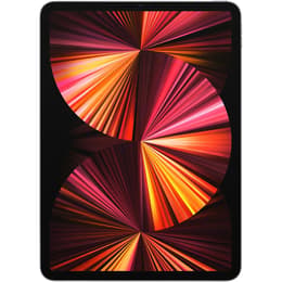 iPad Pro 11" (2021) 5th gen 128 GB - Wi-Fi - Space Gray