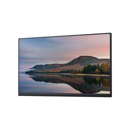 24-inch Dell P2422HWOS 1920 x 1080 LED Monitor Black