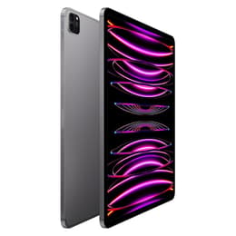iPad Pro 12.9" (2022) 6th gen 1000 GB - Wi-Fi + 5G - Space Gray
