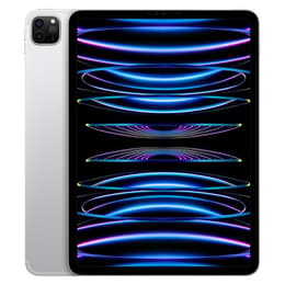iPad Pro 11" (2022) 4th gen 2000 GB - Wi-Fi + 5G - Silver