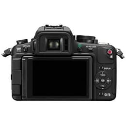 Lumix DMC-GH1 - Black + Panasonic Lumix G Vario 14-42mm f/3.5-5.6 