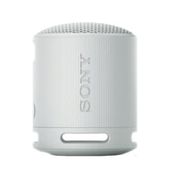 Sony SRS-XB100 Bluetooth Speakers - Grey