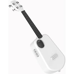 Populele 2 Concert Musical instrument