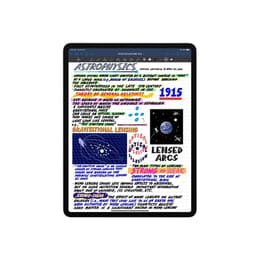 iPad Pro 11 (2021) 3rd gen 2000 GB - Wi-Fi - Space Gray