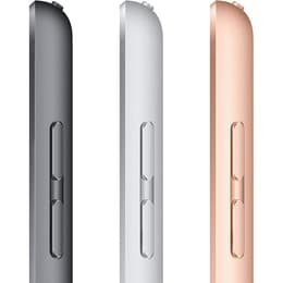 iPad 10.2 (2020) 8th gen 128 GB - Wi-Fi - Space Gray