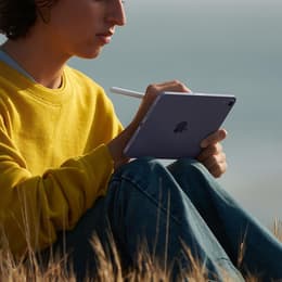 iPad mini (2021) 6th gen 256 GB - Wi-Fi + 5G - Purple