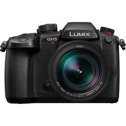 Lumix DC-GH5M2L - Black Panasonic Leica DG Vario Elmar 12-60mm f/2.8-4 POWER OIS f/2.8-4