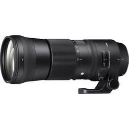 Camera Lense Sigma 150-600mm f/5-6.3 DG OS HSM Nikon F 150-600mm f/5-6.3