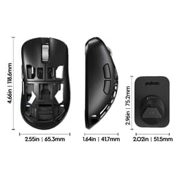Pulsar Feinmann F01 Mouse Wireless